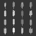 Ear corn icons set grey vector Royalty Free Stock Photo