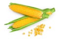 Ear of corn isolated on a white background. Clipping path. Top view. Flat lay Royalty Free Stock Photo