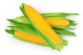 Ear of corn isolated on a white background. Clipping path. Top view. Flat lay Royalty Free Stock Photo