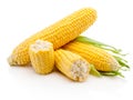 Ear of corn isolated on white background Royalty Free Stock Photo