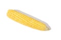 Ear corn isolated on white background Royalty Free Stock Photo