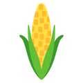 Ear of Corn for Kwanzaa Royalty Free Stock Photo