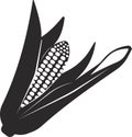 An ear of corn. Organic food, cereals. Vector image.