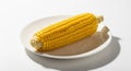 An ear of corn (Zea mays) is placed on a white ceramic plate. The corn has bright Royalty Free Stock Photo