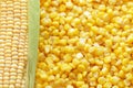 Ear of fresh corn and tinned corn Royalty Free Stock Photo