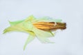 Ear of a fresh and delicious yellow sweet corn isolated on a white background Royalty Free Stock Photo