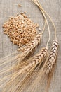 Ear and grain of the wheat Royalty Free Stock Photo