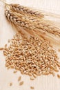 Ear and grain of the wheat Royalty Free Stock Photo