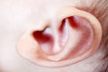 Ear