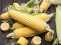 Ear of maize or corn on the dark wooden background Royalty Free Stock Photo