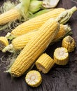 Ear of maize or corn on the dark wooden background Royalty Free Stock Photo