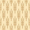 Ear of malt, corn, wheat seamless pattern. Repeating fiber. Repeated whole grains spikelet shape design prints. Wheat ears