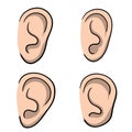 Ear. Part of human body. Eement of head. Symbol of hearing and eavesdropping