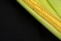 Ear raw ripe corn dark background, closeup. Royalty Free Stock Photo