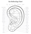 Ear Reflexology Chart Outline