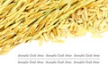 Ear of rice isolate on white background. Royalty Free Stock Photo