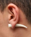 Ear Ring Tusk