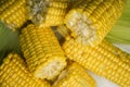 Ear of ripe corn with tops on a white plate