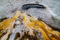 Ear Spring in Yellowstone Royalty Free Stock Photo