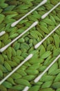 Ear sticks on a background of green wicker straw cover.