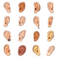 Ear vector human eardrum ear rope hearing sounds or deafness and listening body part illustration sensory set female Royalty Free Stock Photo