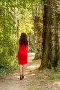 Ear view of woman in red, high heels and cocktail dress in wood Royalty Free Stock Photo