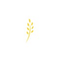 Ear of wheat, barley or rye. Gold yellow icon isolated on white. Eco button. Royalty Free Stock Photo