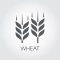 Ear of wheat black flat icon. Design element for beer theme, different packaging and products