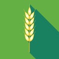 Ear of of wheat icon in flat style Royalty Free Stock Photo