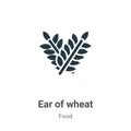 Ear of wheat vector icon on white background. Flat vector ear of wheat icon symbol sign from modern food collection for mobile