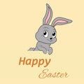 Eared rodent. Cute fluffy gray bunny.Cute rabbit. Bunny. Easter Bunny. Rabbit