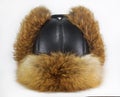 Earflaps fur cap winter one Royalty Free Stock Photo