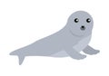 Earless seal Vector Illustration in Flat Design