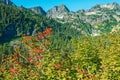 Early autumn in the Cascade Mountains along Snow Lake Trail near North Bend, Washington, USA Royalty Free Stock Photo