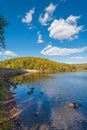 Early autumn color at Greenbrier Lake, at Greenbrier State Park in Maryland Royalty Free Stock Photo