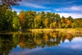 Early autumn color at North Pond, near Belfast, Maine. Royalty Free Stock Photo