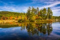 Early autumn color at North Pond, near Belfast, Maine. Royalty Free Stock Photo