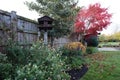 Early autumn colours in the garden Royalty Free Stock Photo