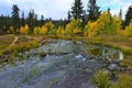 Early autumn at Duck Creek. Birch trees near a stream 4 3