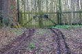 Early autumn garden view with fallen foliage and wooden fence Royalty Free Stock Photo