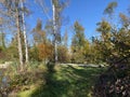 Early autumn landscape in parks and along recreational trails in the city of ZÃÂ¼rich / Zuerich or Zurich / Wallisellen Royalty Free Stock Photo