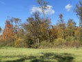 Early autumn landscape in parks and along recreational trails in the city of ZÃÂ¼rich / Zuerich or Zurich / Wallisellen Royalty Free Stock Photo