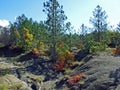 Early autumn and landscapes in the Istrian peninsula - Buzet, Croatia / Rana jesen i pejzazi u unutrasnjosti poluotoka Istre Royalty Free Stock Photo