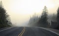 The early autumn morning fog on Highway 60 in Algonquin Park, Canada Royalty Free Stock Photo