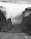 Beautiful early autumn morning fog on Highway 60 in Algonquin Park, Canada Royalty Free Stock Photo