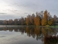 Early autumn morning, white mist over water and ground, beautifully colored and blurred tree silhouettes Royalty Free Stock Photo