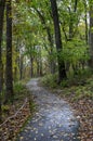 Early Autumn in the park at St Louis, MO Royalty Free Stock Photo