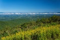 Early Autumn View of Morning Fog Over Shenandoah Valley Royalty Free Stock Photo