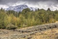 Early autumn Wyoming landscape, aspens