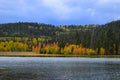 Early autumn. Yellow trees, blue sky and lake landscape. Royalty Free Stock Photo